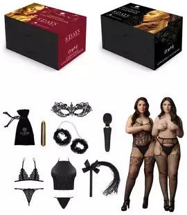Desire Gift Set Lingerie + Vibrating Toys