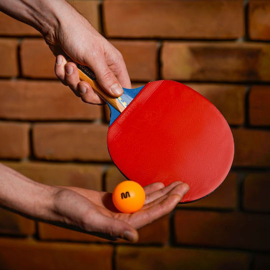 Meteor Zephyr Σετ Ρακέτες Ping Pong 1-Star για Αρχάριους Παίκτες