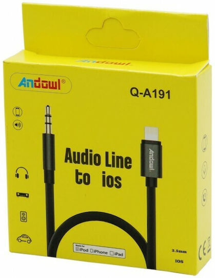 Andowl Q-A191 3.5mm zu Lightning Kabel Gold 1m