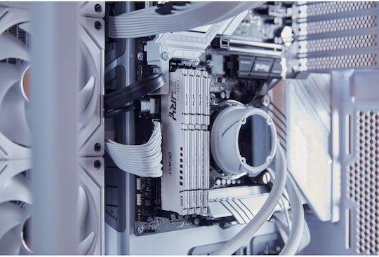 Kingston Fury Beast DDR5 32GB RAM με 2x16GB Modules και Ταχύτητα 6000 για Desktop
