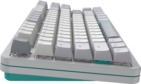 Dark Project ALU87A Gaming Mechanical Keyboard Tenkeyless with RGB lighting (English UK) Gray