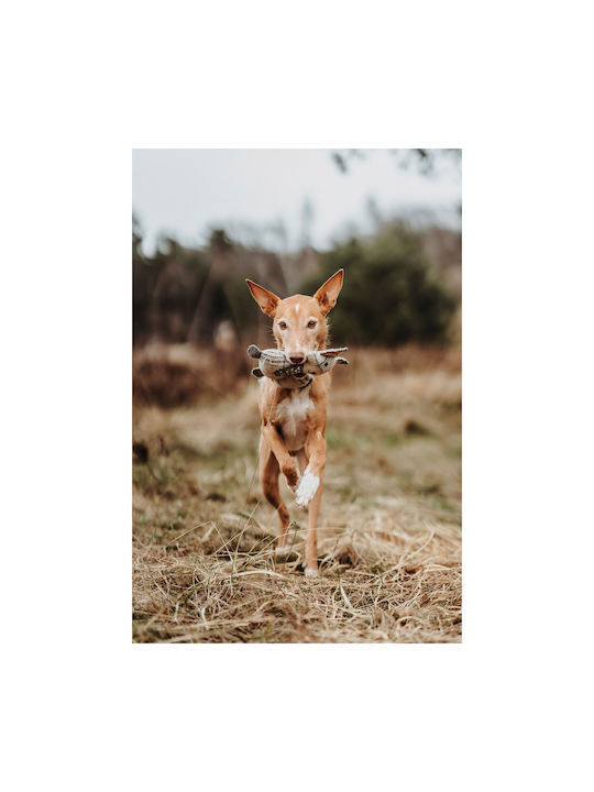 Plüsch-Hundespielzeug Jäger Beige 100% Recycelter Fuchs