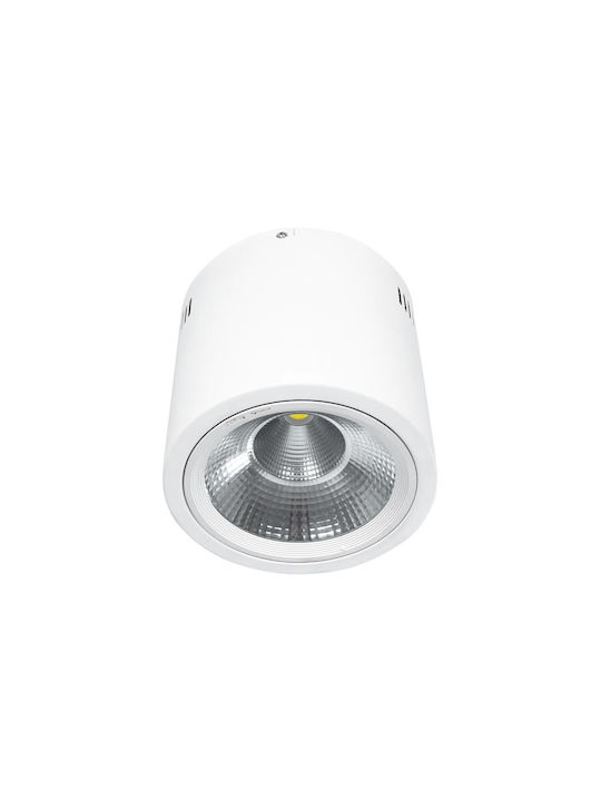 GloboStar Single LED Cool White Spot in White Color