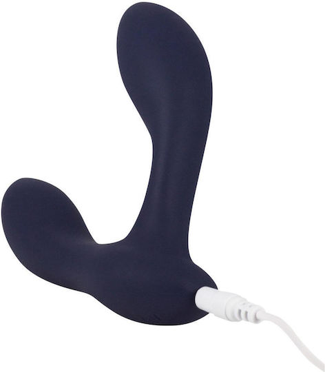 Prostate Massager 2 Motors Spice It Up P-bliss
