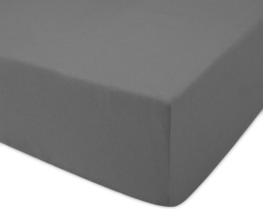 Darymex Sheet Semi Double with Elastic 120x200cm. 037