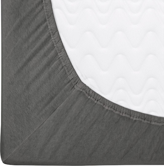 Darymex Sheet Semi Double with Elastic 120x200cm. 037