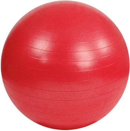 Ball Pilates 55cm in Mehrfarbig Farbe