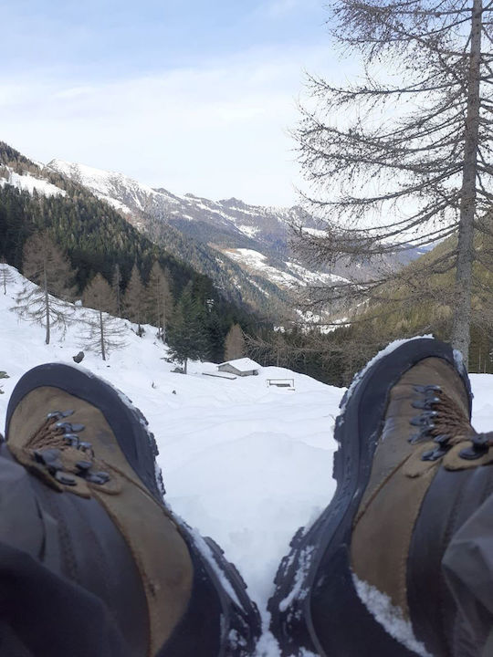 Cofra Sonneck Hunting Boots in Brown color
