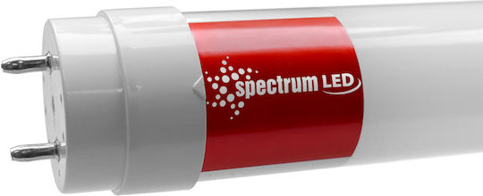 Spectrum LED Bulb 17W Fluorescent Type 120εκ. for Socket G13 and Shape T8 Cool White