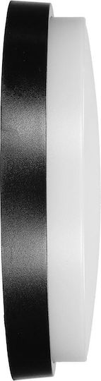 Adviti Wandmontierte Außenbeleuchtung Deckenleuchte LED IP54 10W mit Natürliches Weiß Licht