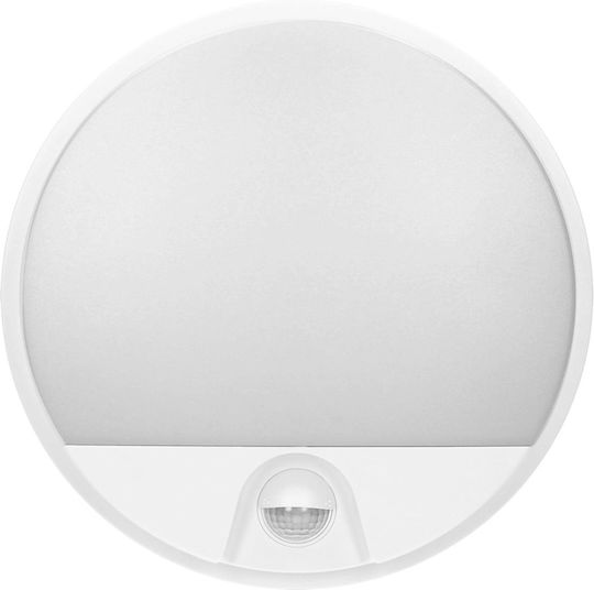 Orno Επιτοίχιο Εξωτερικό Φωτιστικό LED 10W 4000K 21x4.9εκ. Orno Επιτοίχιο Εξωτερικό Φωτιστικό LED 10W 4000K 21x4.9εκ.
