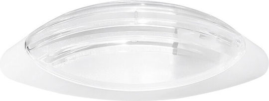 Heronia D-109 Broască Testoasă Albă Heronia D-109 Broască Testoasă Albă
