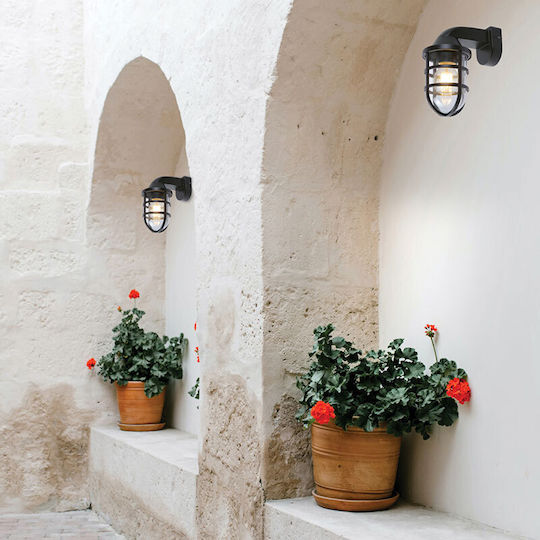 Viokef Wall-Mounted Outdoor Turtle Light E27 IP44 18.5x21.5εκ.