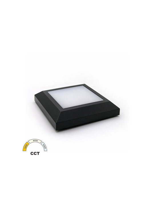 Adeleq Wall-Mounted Outdoor Ceiling Light LED IP65 4W with Adjustable White Light 12.5x12.5εκ.