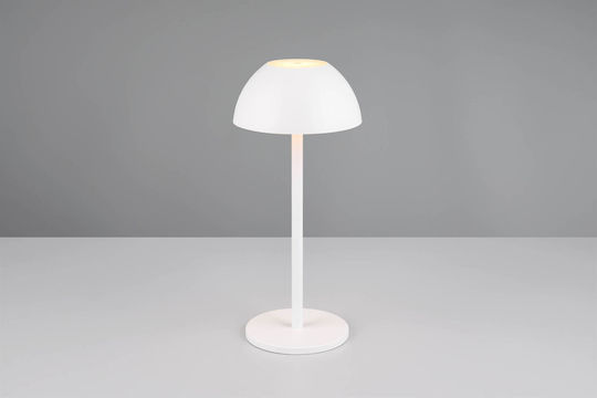 Trio Lighting R541061 Trio Lighting R541061