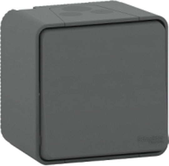 Schneider Electric Mureva Styl Waterproof Wall-Mounted Electrical Wall Switch One-Way with Aller Retour Frame Anthracite