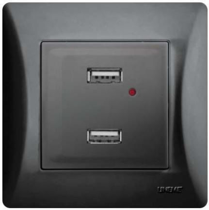 Lineme Power Socket with 2 USB Ports Black