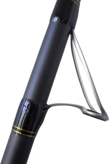 Oceanic Pegasus Καλάμι Ψαρέματος για Heavy Casting / Surf Casting 4.20m 100-200gr