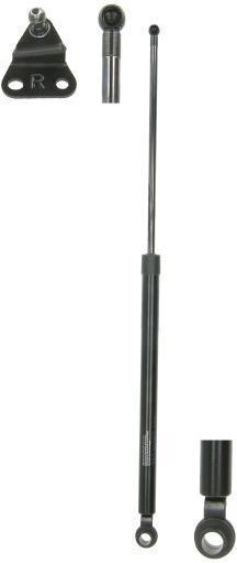 Lesjofors Trunk Shock