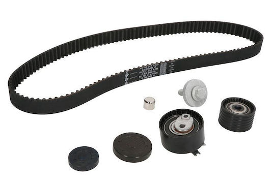 INA Set of Car Engine Belt for Dacia Duster 530064010