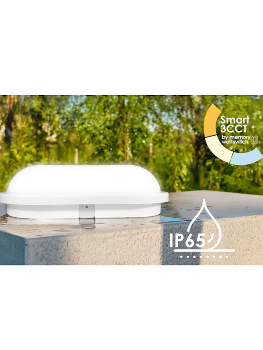 Elvhx Επιτοίχια Χελώνα Εξωτερική LED 8W με Ρυθμιζόμενο Λευκό Φως