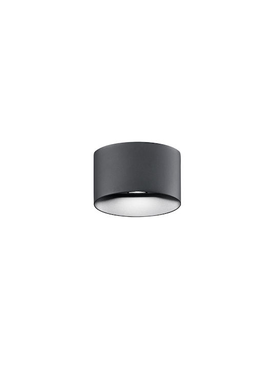 Viokef Single LED Warm White Spot in Black Color
