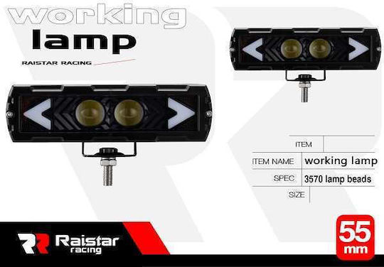 Raistar Rechteckς Wasserdicht Scheinwerfer Auto LED 20W 1Stück