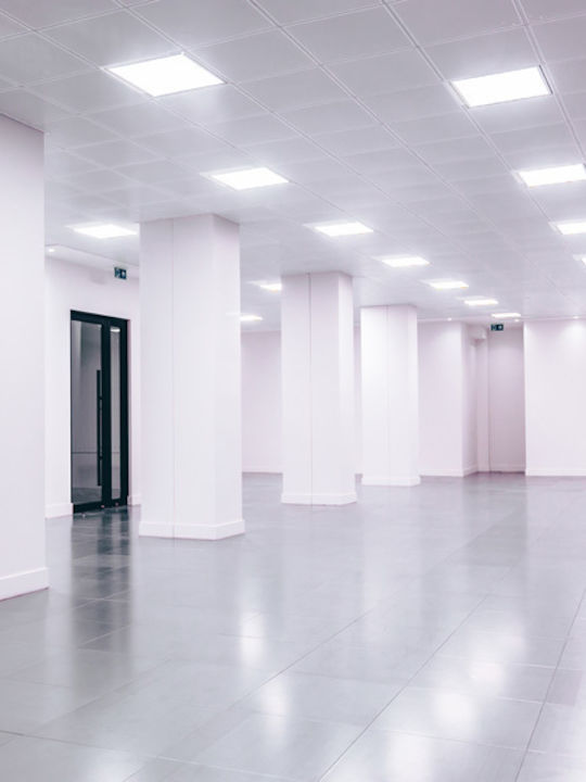 Eurolamp LED Panel 36W mit Warmes Weiß Licht 2700K