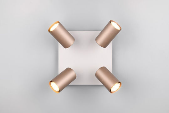 Trio Lighting Marley Μονό Σποτ σε Καφέ Χρώμα Trio Lighting Marley Μονό Σποτ σε Καφέ Χρώμα