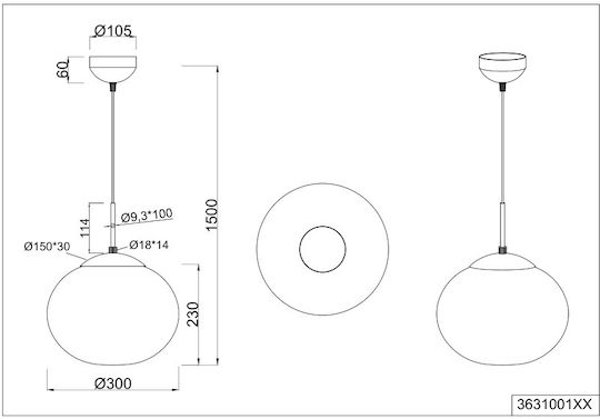 Trio Lighting Κρεμαστό Φωτιστικό 30x150εκ.