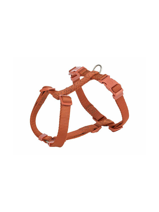 Λουρί Σκύλου Trixie Premium Πορτοκαλί L M0607155 Λουρί Σκύλου Trixie Premium Πορτοκαλί L M0607155