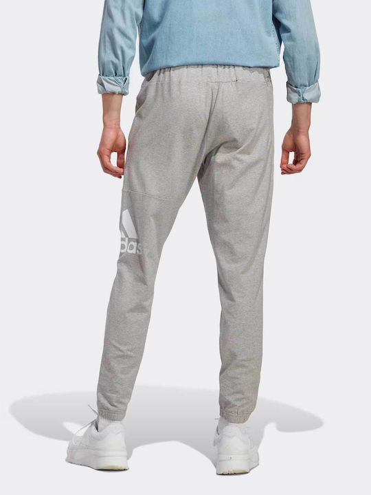 adidas Single Jogger Pants Gray