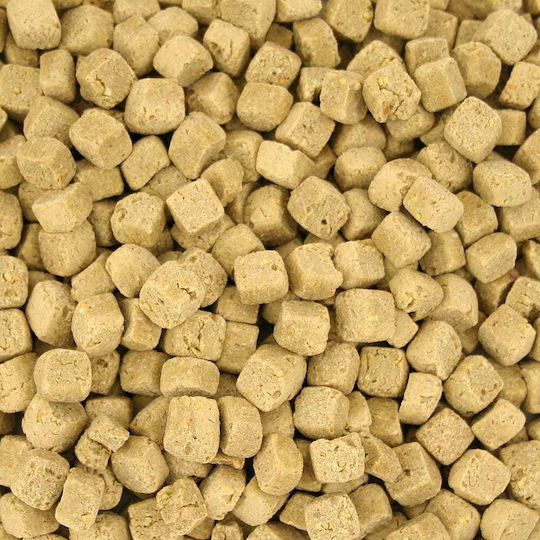 Granule Organice Complete Harrison's High Potency Coarse pentru Papagali Medii și Mari 1