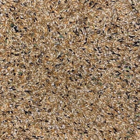 Pico Pico Extra Premium Canarini Birds Food for Canaries 5kg