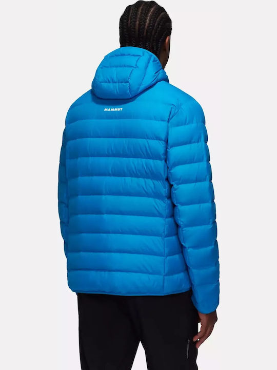 Mammut Mammut