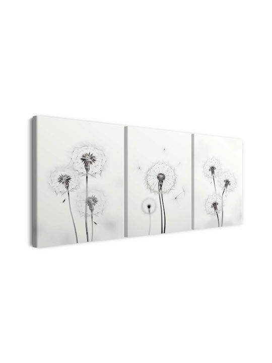 Leinwandbilder Wohnzimmer Modernes Triptychon Schwarz-Weiß 60x120cm