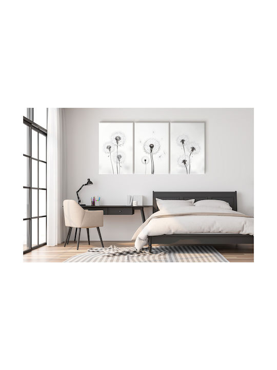 Leinwandbilder Wohnzimmer Modernes Triptychon Schwarz-Weiß 60x120cm