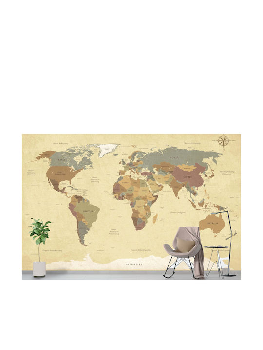 Decorațiune de Perete Hartă Mondială Geografie 260x390