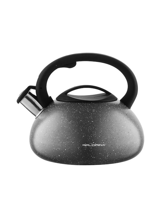 Florina Τσαγιέρα Ανοξείδωτη Γκρι 2500ml