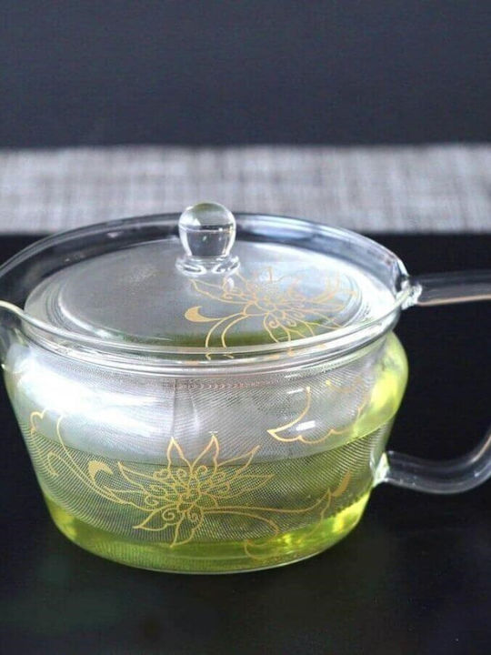 Hario Teapot with Filter Glass in Transparent Color 450ml