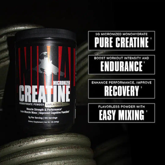 Animal Micronized Creatine Monohydrate 500gr
