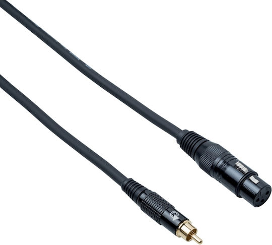 Bespeco XLR female to RCA male 3m Cable (EAXFR300)