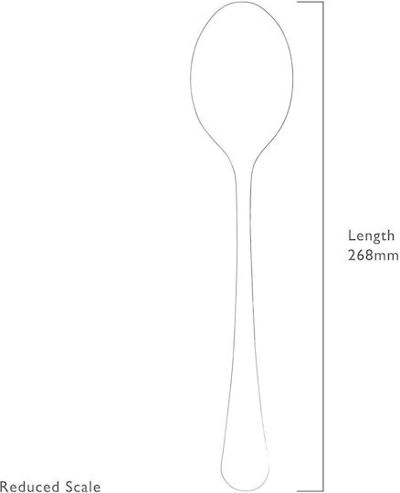 Robert Welch Stainless Steel Spoon Silver RADBR1050XL