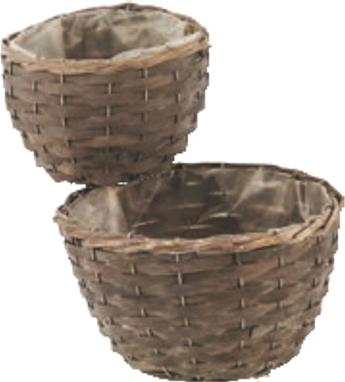 TnS Plant Pot Wicker Multicolour
