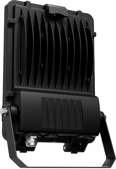 Aca Στεγανός Προβολέας LED 50W Φυσικό Λευκό 4000K IP66