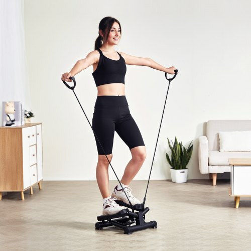 Vevor Mini Stepper