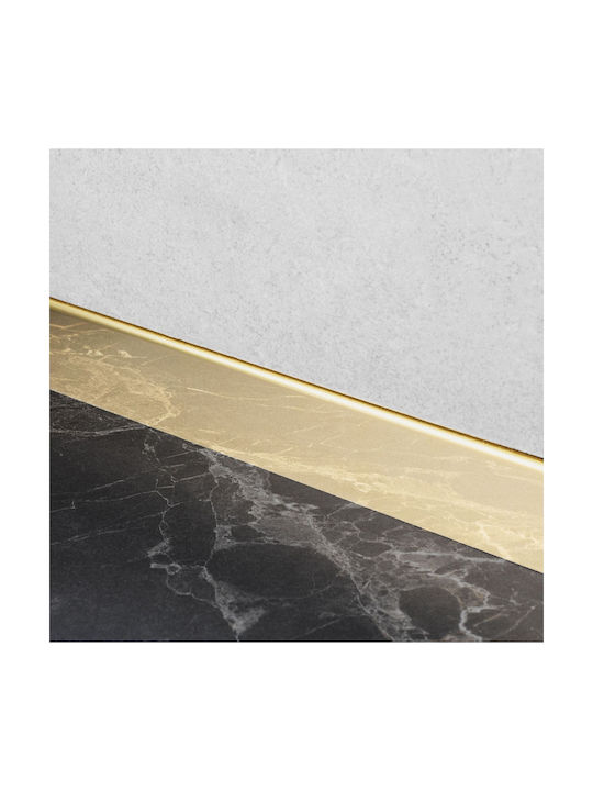 Μπροστινή Λωρίδα Δίσκου Ντους 120cm Gold