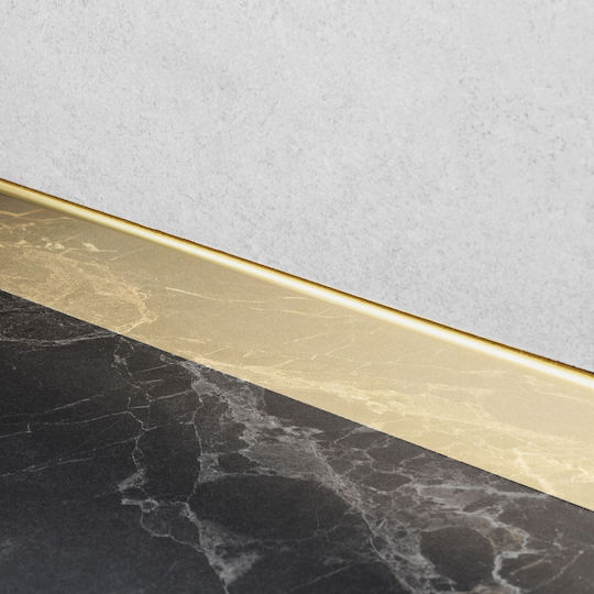 Μπροστινή Λωρίδα Δίσκου Ντους 120cm Gold