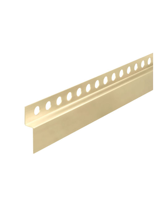 Μπροστινή Λωρίδα Δίσκου Ντους 120cm Gold