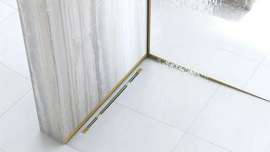 Μπροστινή Λωρίδα Δίσκου Ντους 120cm Gold